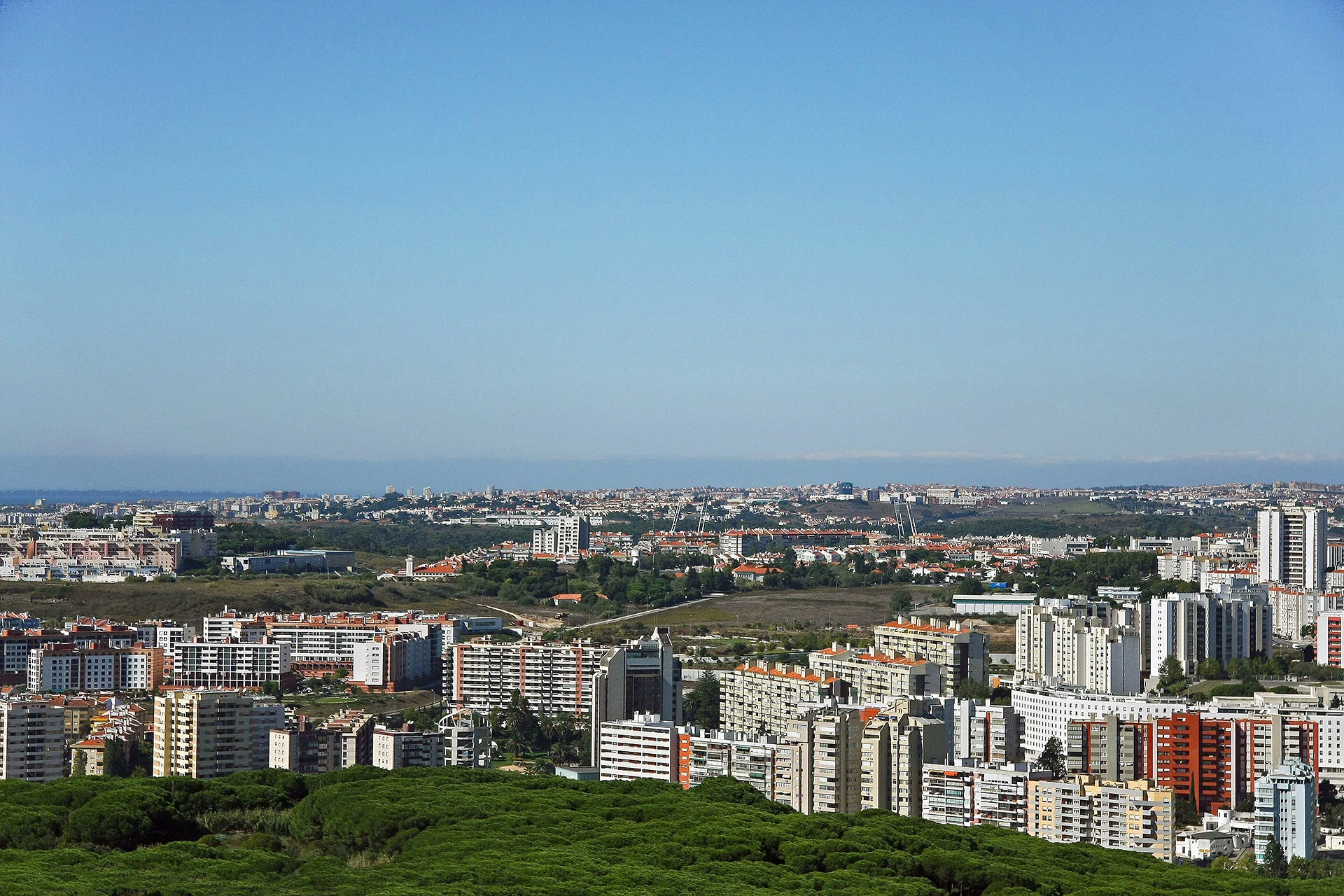 Sobre Mim 8 Alges Portugal